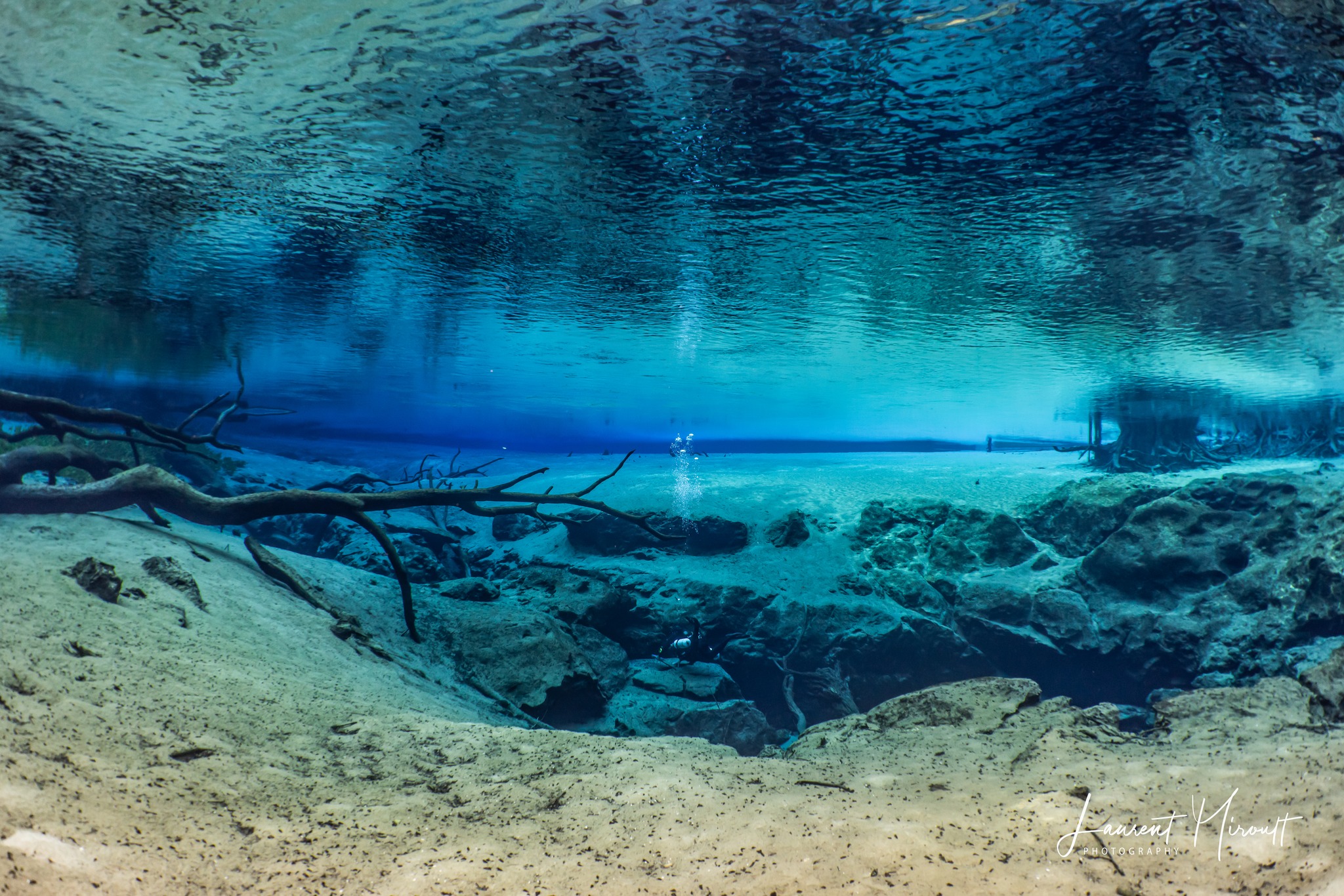 Cypress Spring