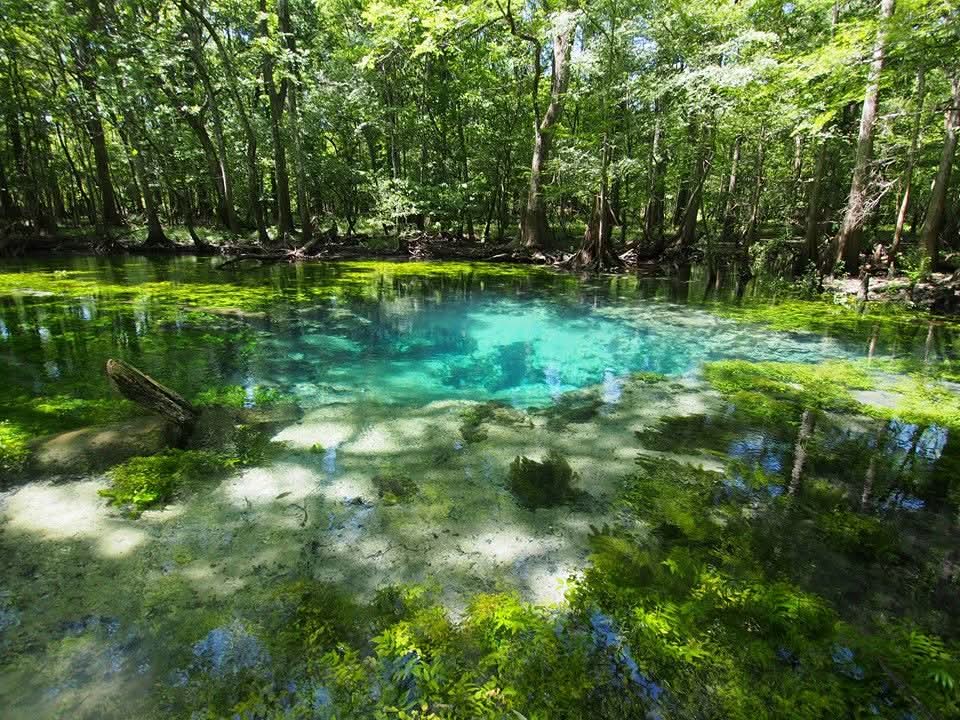 Bozel Spring