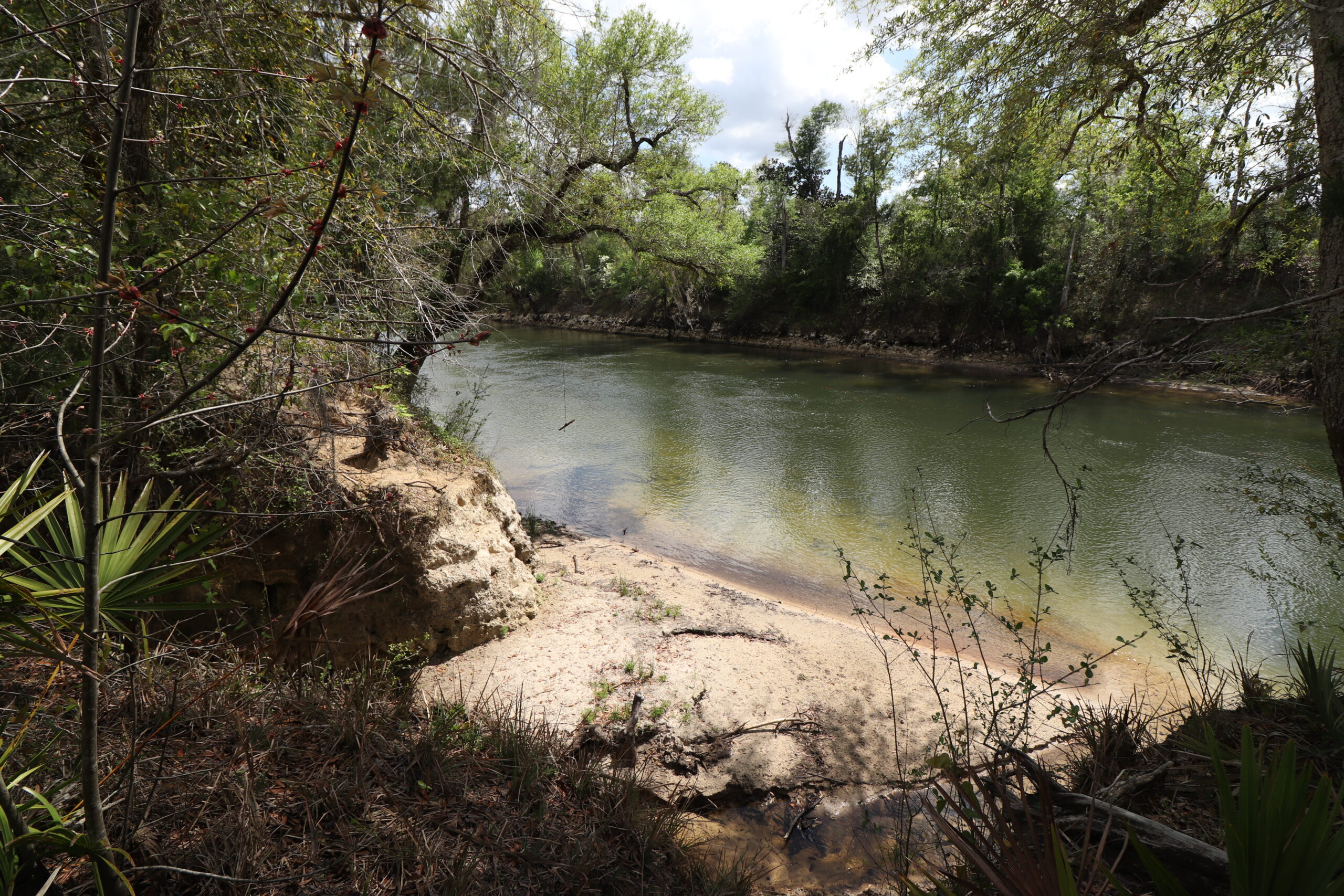 Chipola River