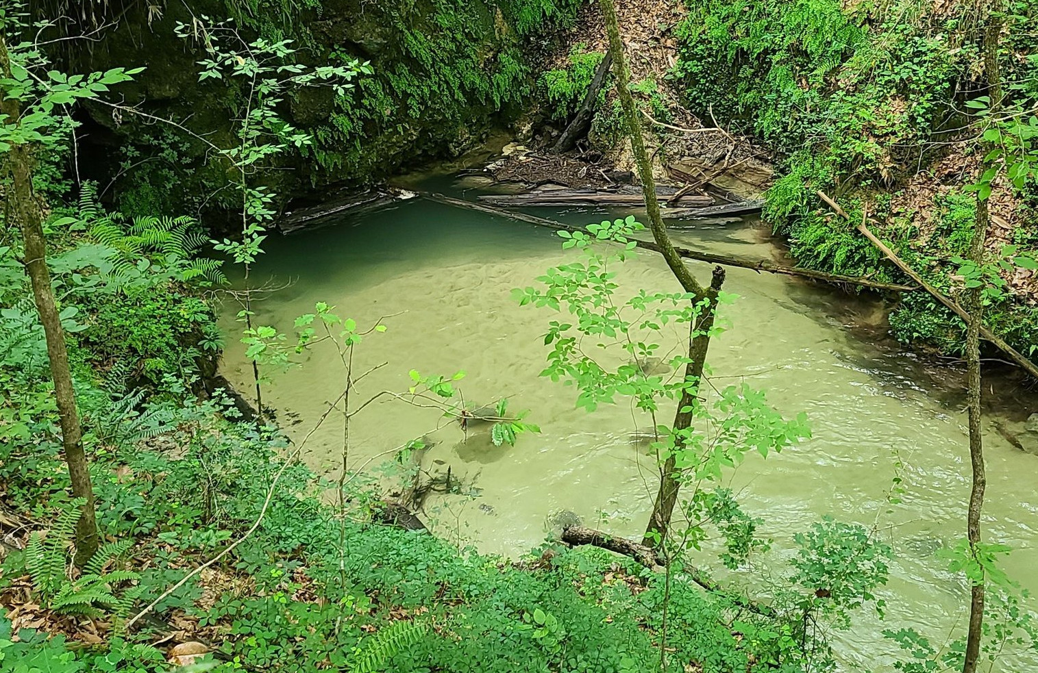 Devil's Hole
