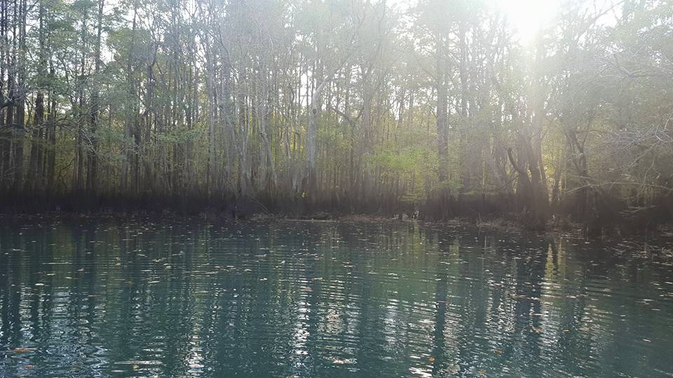 Holmes Creek