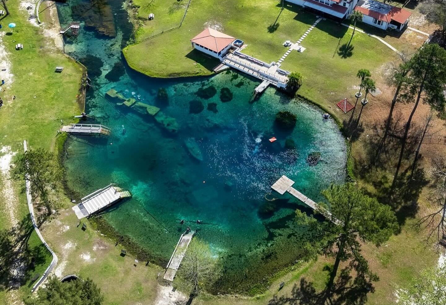 Vortex Spring