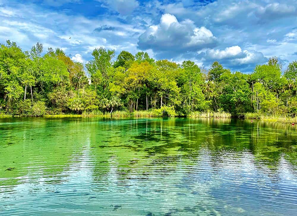 Alexander Springs