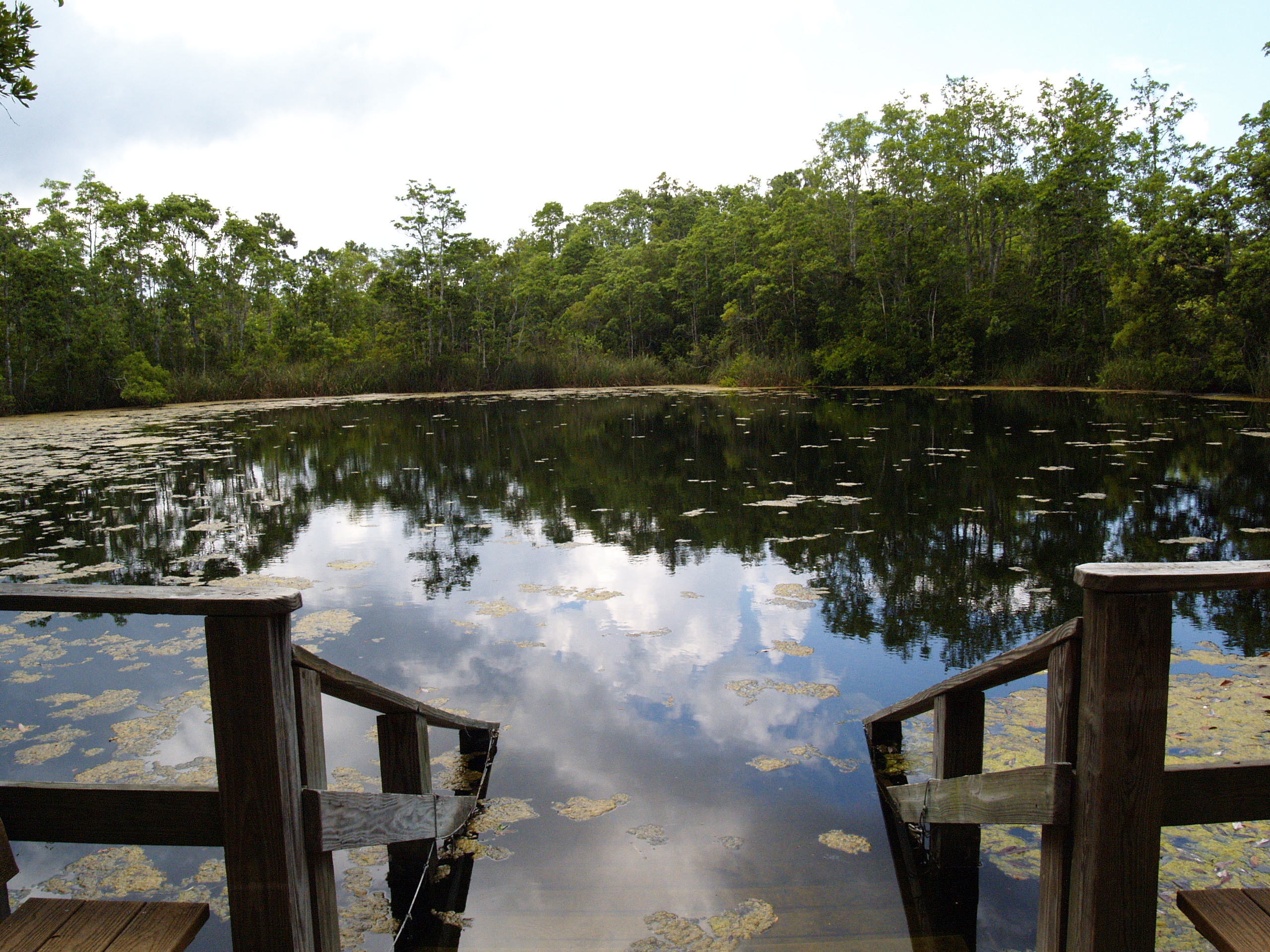 Eagle's Nest spring basin