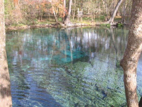 Ginnie Springs