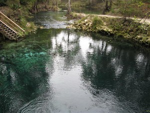 Madison Blue Spring
