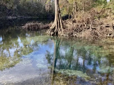 Pot Spring