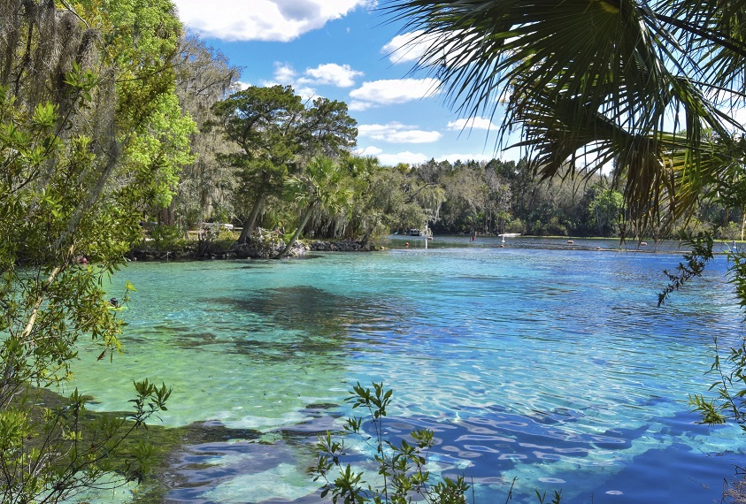 Silver Glen Springs