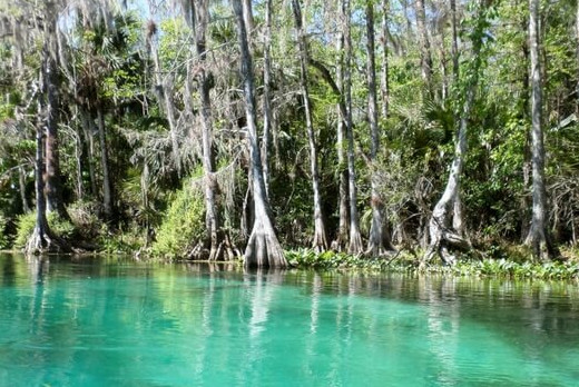Silver River