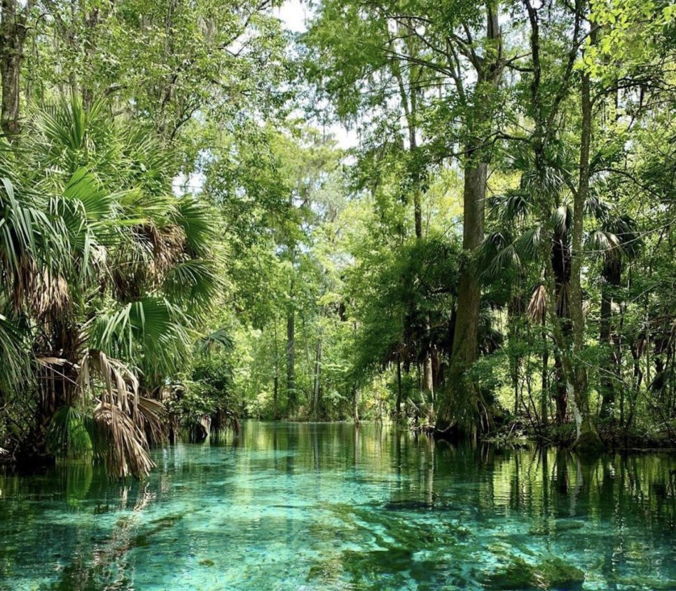 Silver Springs