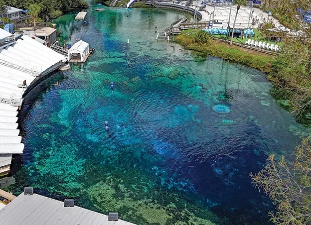 Weeki Wachee Springs