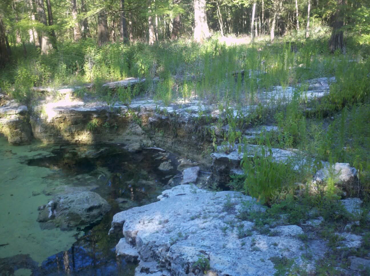 Peacock II spring basin