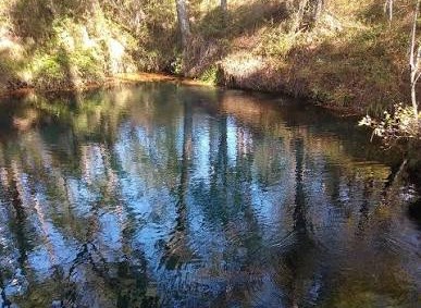 Emerald Sink