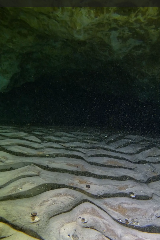 The powerful current that carved these grooves still flows through Florida's hidden cave systems today. They're just one of the remarkable discoveries you'll encounter in The Hidden Rivers of Florida: Discoveries.