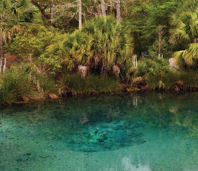 Econfina Creek