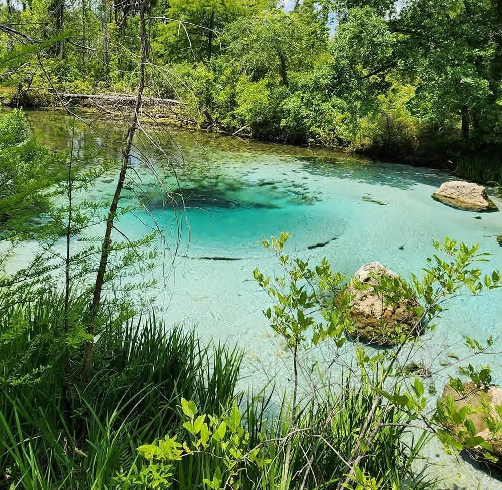 Williford Spring