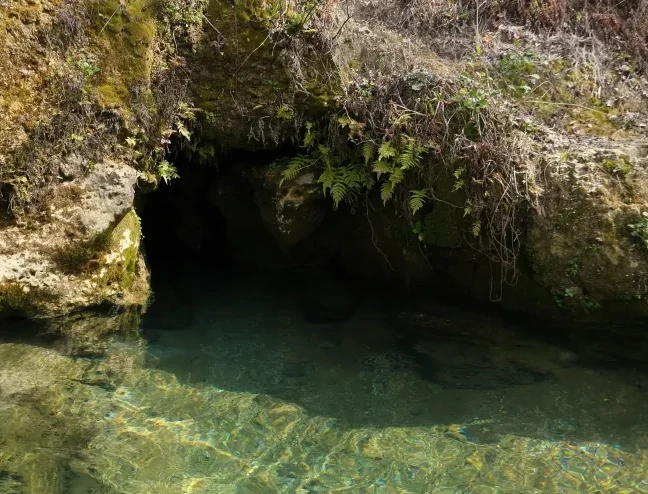 Econfina Blue Spring