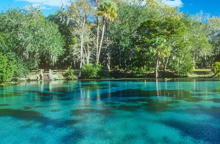 Silver Glen Springs