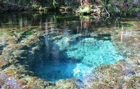 Chassahowitzka Springs