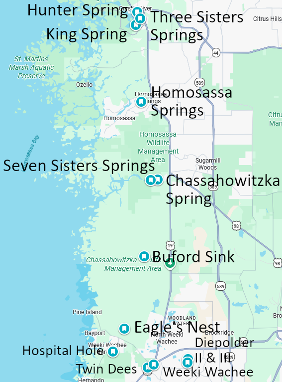 Florida's Nature Coast