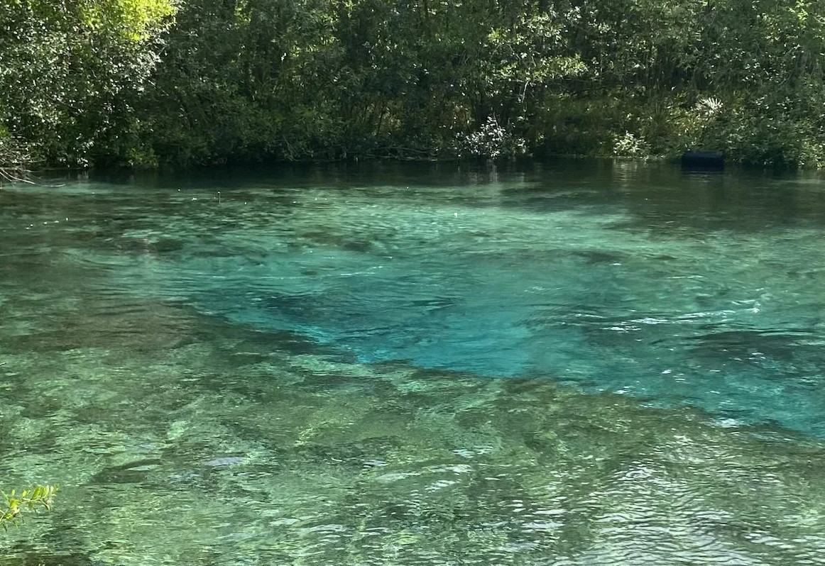 Ichetucknee Springs