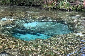Seven Sisters Springs