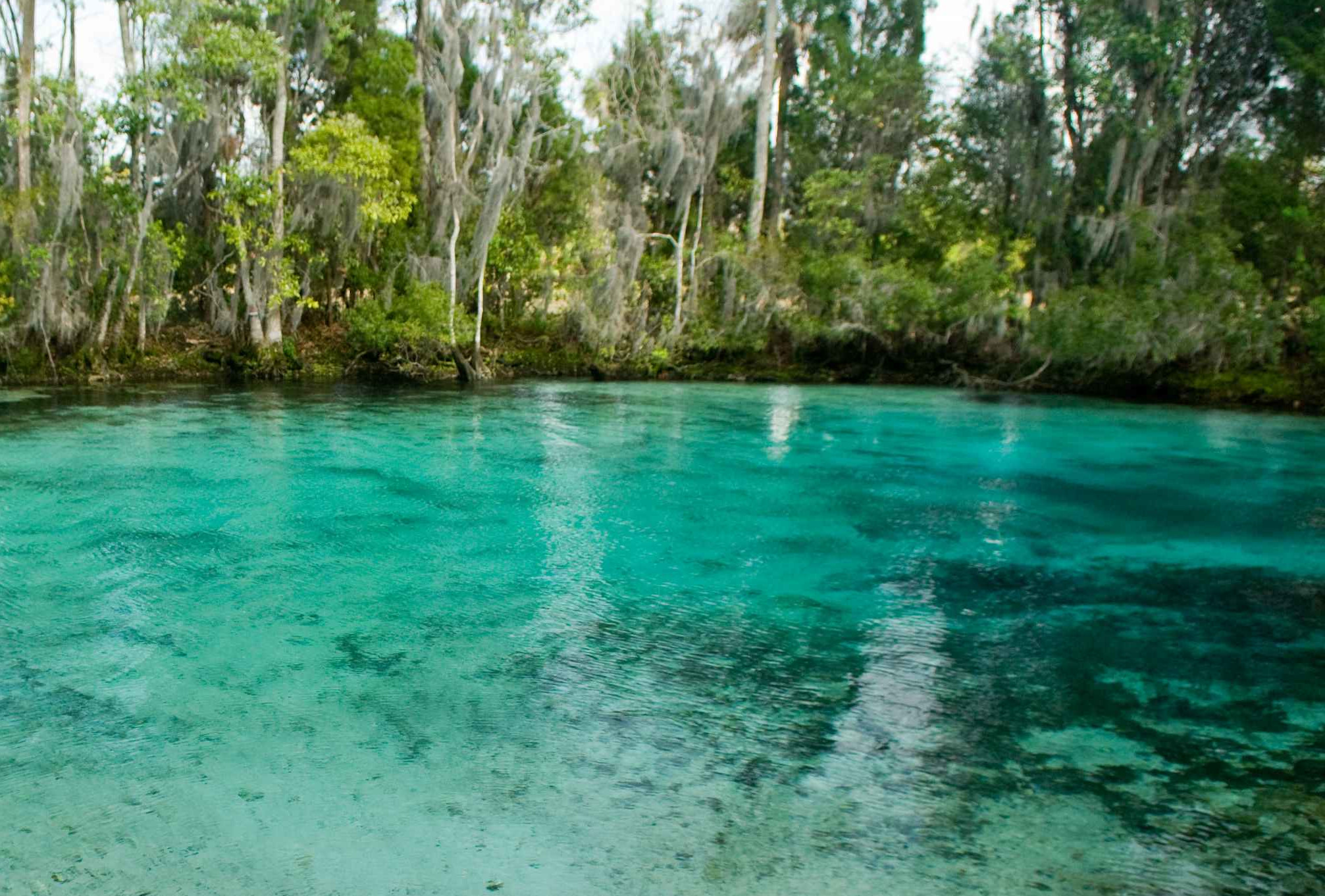 Three Sisters Springs